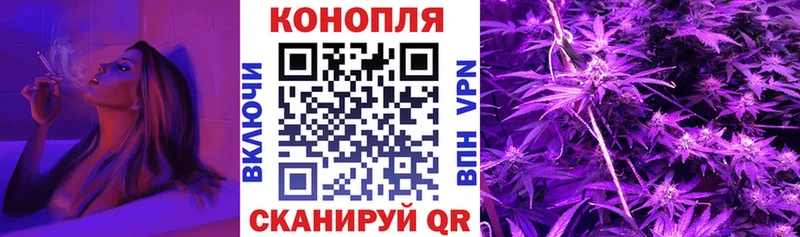 купить  сайты  Барыш  Бошки Шишки сатива 